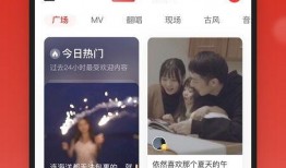 网易云爆料姐姐事件视频,揭秘网络舆论背后的真相